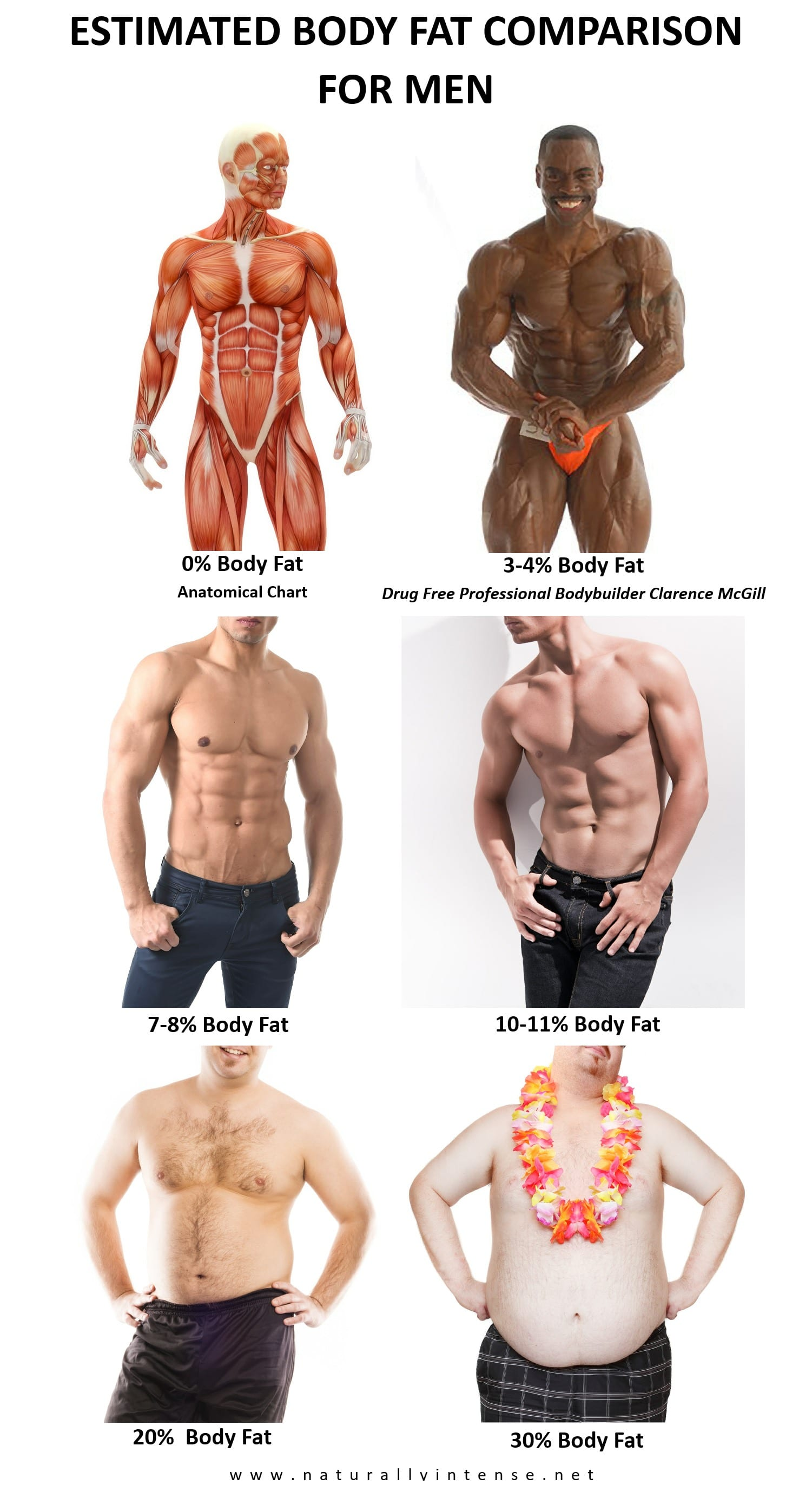 Essential Fat vs. Storage Fat: What Your Body Actually Needs - BodyCompCheck